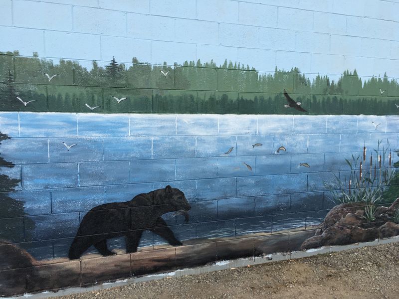 Wall Painting, Acrylic by Dianne Thompson