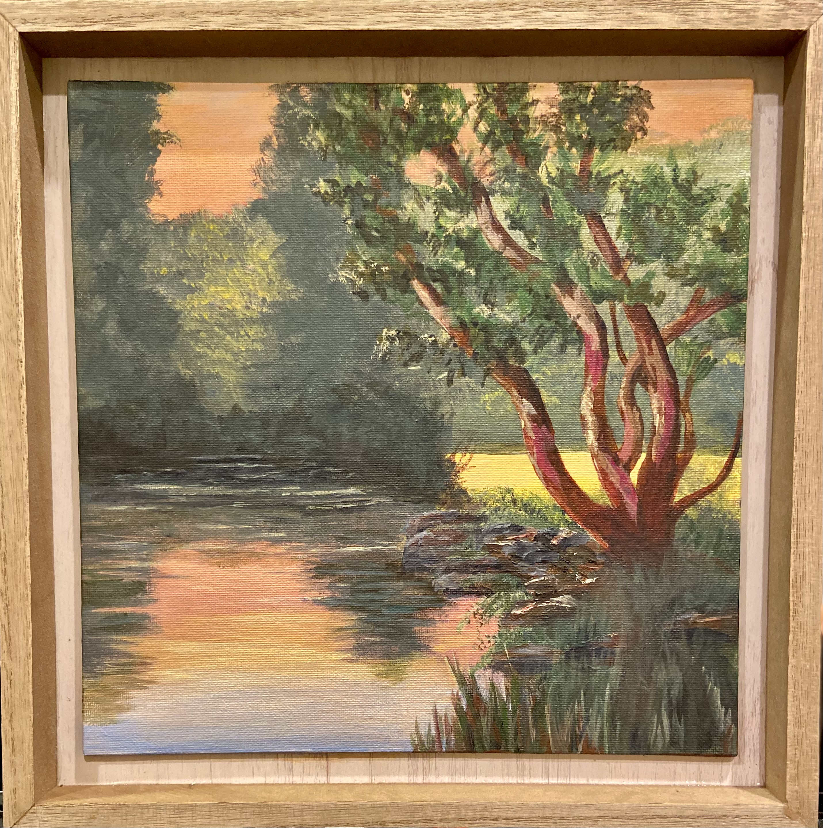 Arbutus at Sunrise, Acrylic by Dianne Thompson