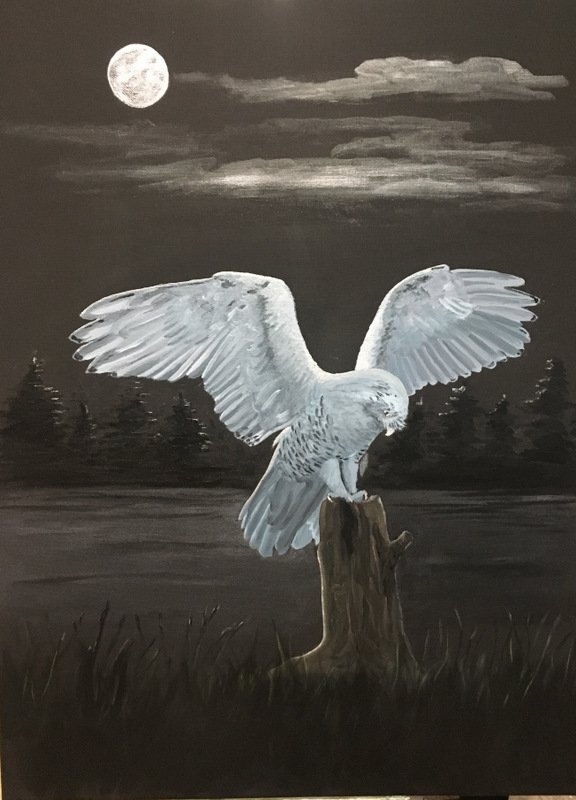 Night Hunt II, Acrylic by Dianne Thompson