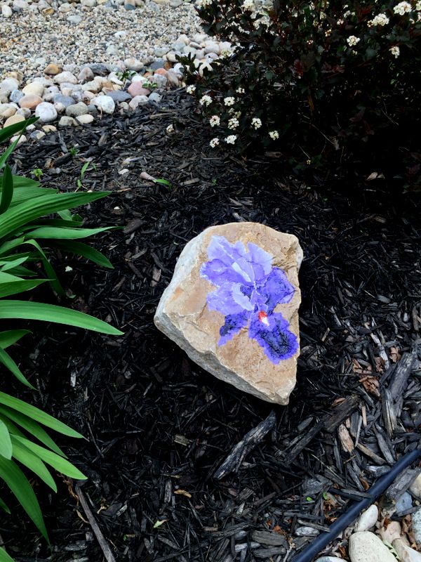 Iris Rock, Acrylic by Dianne Thompson
